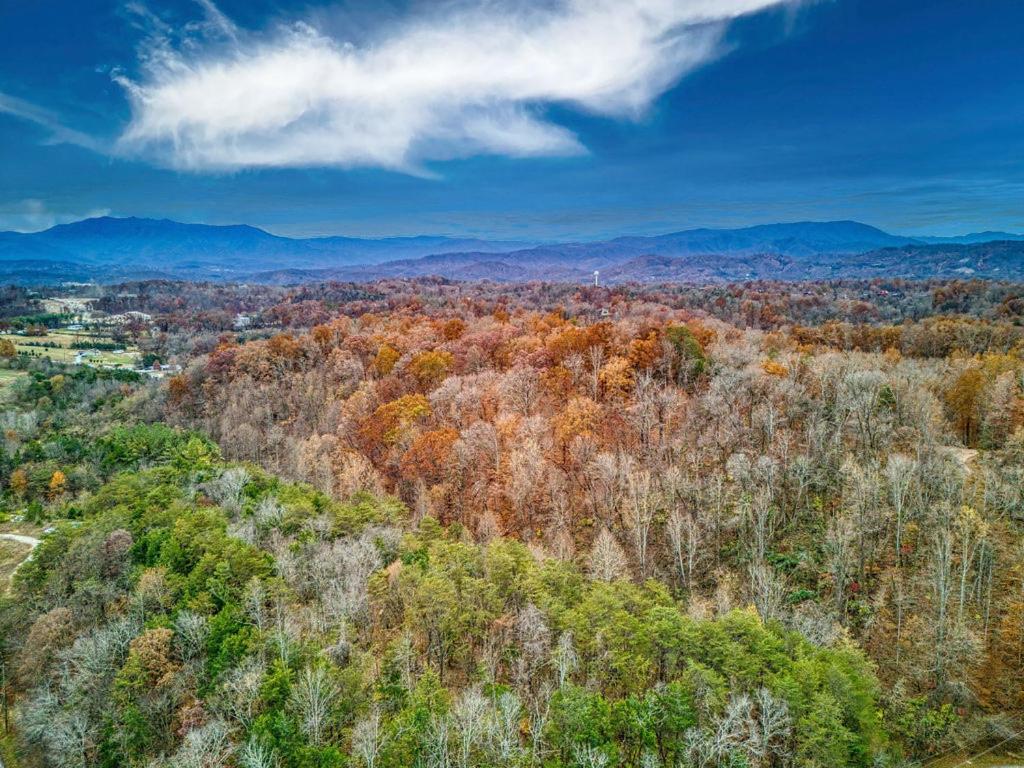 Bridgewood Cabin, Hot Tub, 1089 Of Free Attraction Tickets For Each Paid Day, Dollywood And More! Pigeon Forge Exterior foto